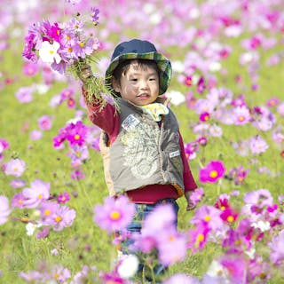 家族写真 記念写真のカメラマン 口コミ 料金で比較 ミツモア 家族写真 記念写真のカメラマン 口コミ 料金で比較 ミツモア