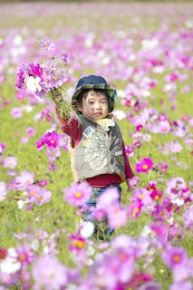 家族写真 記念写真のカメラマン 口コミ 料金で比較 ミツモア