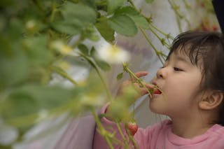 でんでん虫フォトサービス