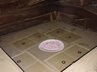 ネズミ駆除業者おすすめ12選 費用 口コミで比較 ミツモア ネズミ駆除業者おすすめ12選 費用 口コミで比較 ミツモア