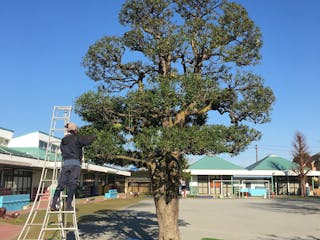 庭の手入れ業者 造園業者 料金 口コミで比較 ミツモア 庭の手入れ業者 造園業者 料金 口コミで比較 ミツモア