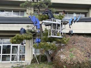 庭の手入れ業者 造園業者 料金 口コミで比較 ミツモア 庭の手入れ業者 造園業者 料金 口コミで比較 ミツモア
