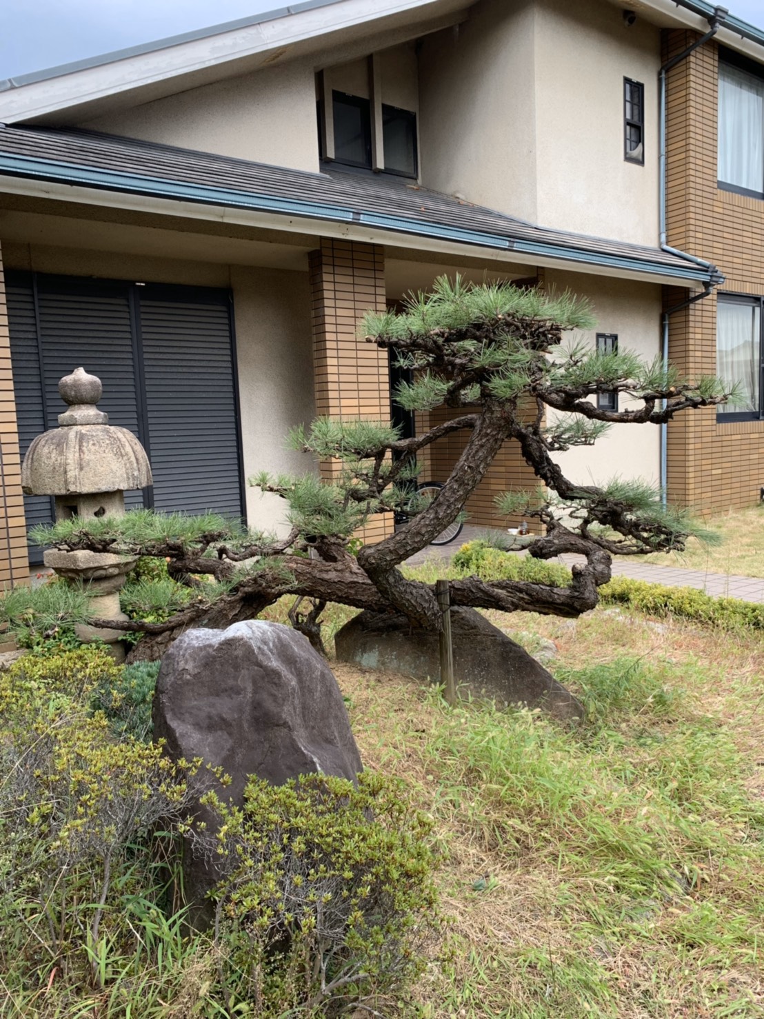 購入者引取願います。植栽剪定用10段脚立 福岡市周辺 【公式通販】 購入者引取願います。植栽剪定用10段脚立 福岡市周辺 【公式通販】