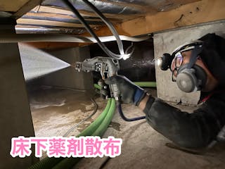 株式会社丸巻商会