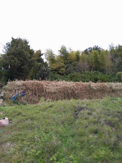 TSUBASAYA造園