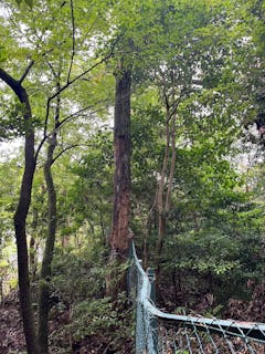 天晴庭園