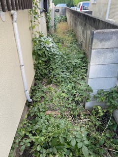 便利屋トムズ