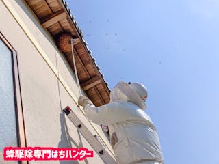 蜂駆除専門はちハンターオフィスサトウ