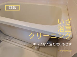 ステラ清掃化学