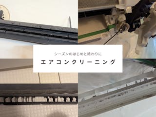 ステラ清掃化学