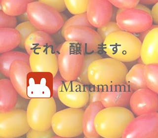 株式会社マルミミ