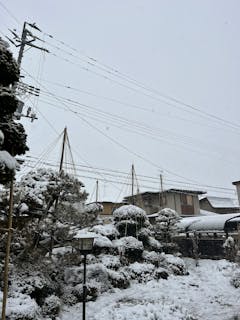 植木屋きなんず