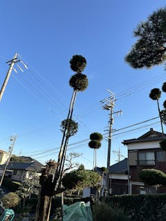 松本造園