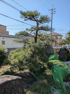 石橋造園