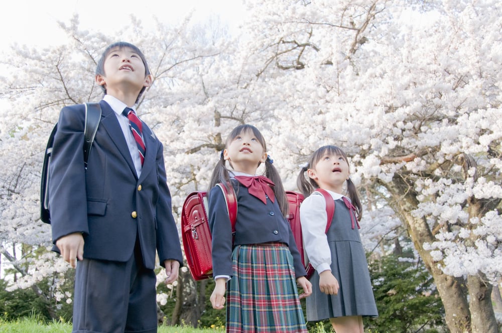 学校・幼稚園のビデオ撮影【口コミ・料金で比較】 - ミツモア