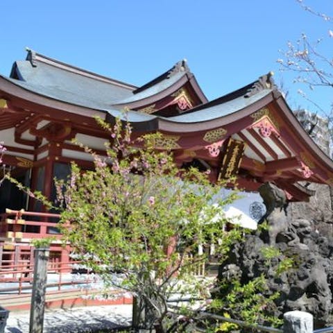 荒川区周辺に677人の七五三の出張カメラマンがいます荒川区周辺に677人の七五三の出張カメラマンがいます