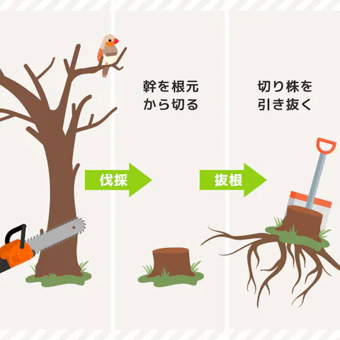 抜根と伐根の違い – 木の根を抜く方法 – JRGRNP