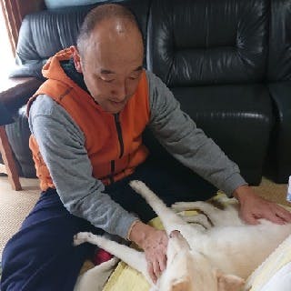 いからし 新潟県新潟市北区 いからし 新潟県新潟市北区