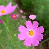 佐々木 充 埼玉県上尾市本町 佐々木 充 埼玉県上尾市本町