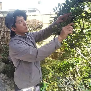 中村庭園 京都府京都市西京区