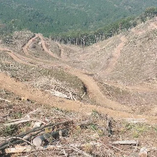 山林不動産 熊本県熊本市中央区