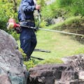 大規模除草のもものゆみ