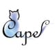 合同会社Cape