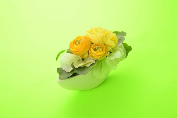 物撮り背景は白がいい 紙 布 100均シートで作る撮影セッティング ミツモア 物撮り背景は白がいい 紙 布 100均シートで作る撮影セッティング ミツモア