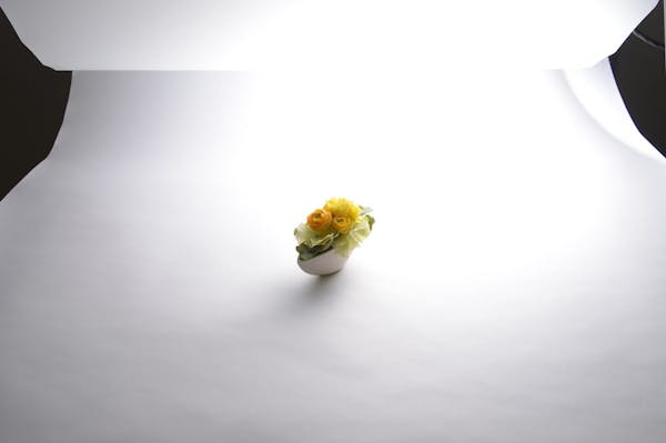 物撮り背景は白がいい 紙 布 100均シートで作る撮影セッティング ミツモア 物撮り背景は白がいい 紙 布 100均シートで作る撮影セッティング ミツモア