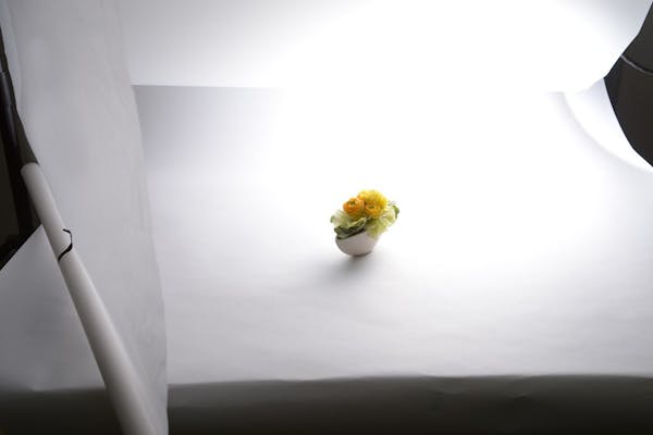 物撮り背景は白がいい 紙 布 100均シートで作る撮影セッティング ミツモア 物撮り背景は白がいい 紙 布 100均シートで作る撮影セッティング ミツモア