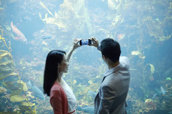 カップル写真をアルバムにしよう ポーズはなしでもおしゃれな撮り方 ミツモア カップル写真をアルバムにしよう ポーズはなしでもおしゃれな撮り方 ミツモア