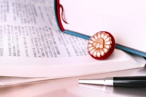 ロゴの商標登録の方法は 文字商標との違いを解説 ミツモア