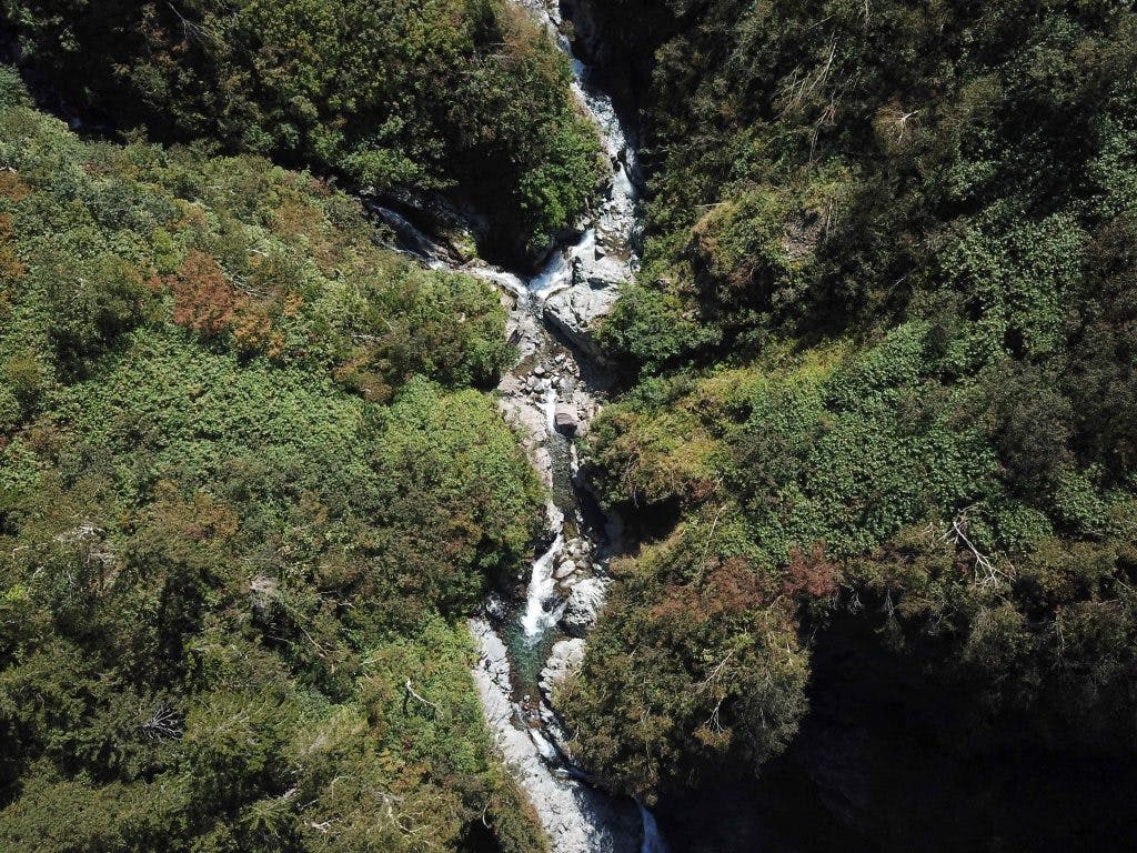 写真構図【曲線】