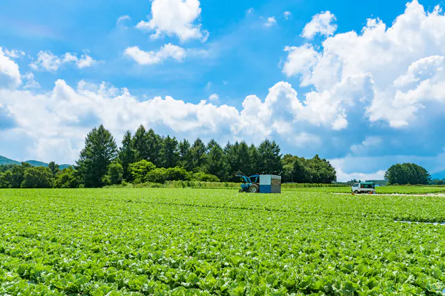 年最新版 新規就農者 農業従事者向け助成金 補助金一覧 ミツモア