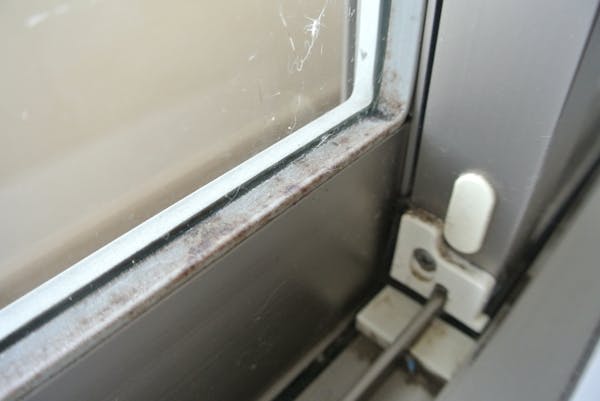 箇所別 ゴムパッキンのカビの取り方とその予防方法を解説します ミツモア 箇所別 ゴムパッキンのカビの取り方とその予防方法を解説します ミツモア