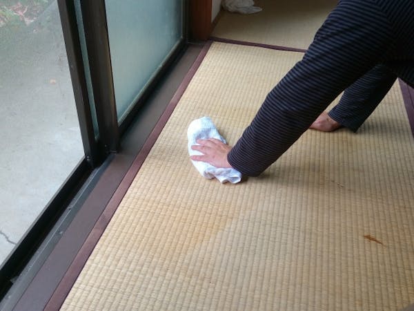 カビ掃除の基本は3パターン 場所に合わせた方法できれいを取り戻そう ミツモア カビ掃除の基本は3パターン 場所に合わせた方法できれいを取り戻そう ミツモア