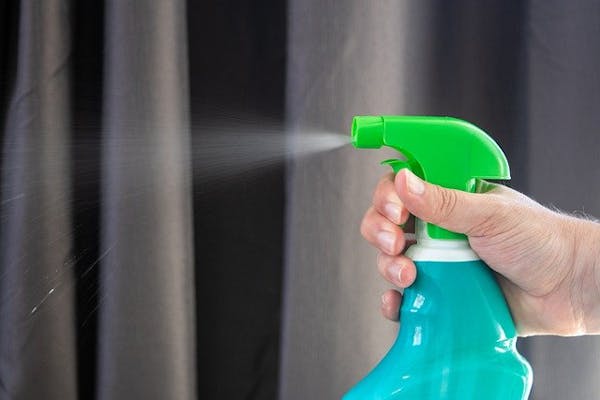 観葉植物にわいたコバエを退治するには 対策や発生を防ぐコツも紹介 ミツモア 観葉植物にわいたコバエを退治するには 対策や発生を防ぐコツも紹介 ミツモア