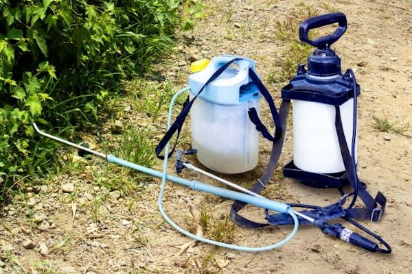 画像付き てんとう虫は大きく3種類 害虫 益虫の見分け方と駆除方法を徹底解説 ミツモア 画像付き てんとう虫は大きく3種類 害虫 益虫の見分け方と駆除方法を徹底解説 ミツモア