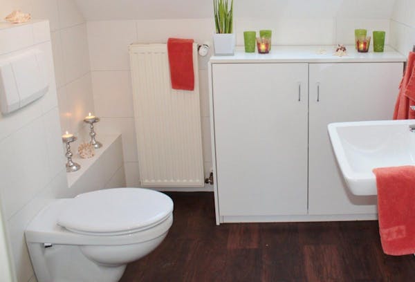 トイレに虫が発生したらどうする 種類や特徴 対策 駆除方法を紹介 トイレに虫が発生したらどうする 種類や特徴 対策 駆除方法を紹介