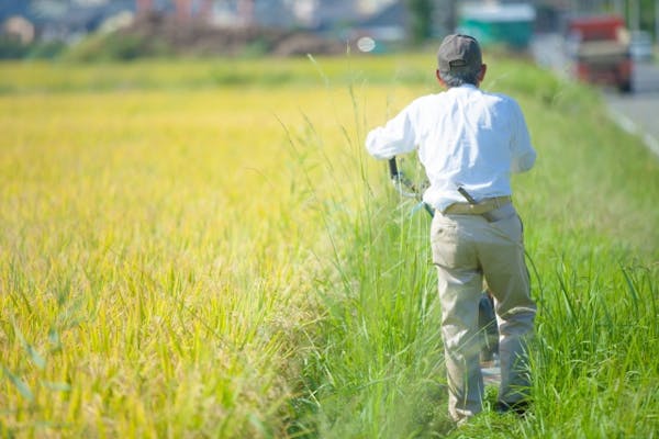 雑草を刈る男性