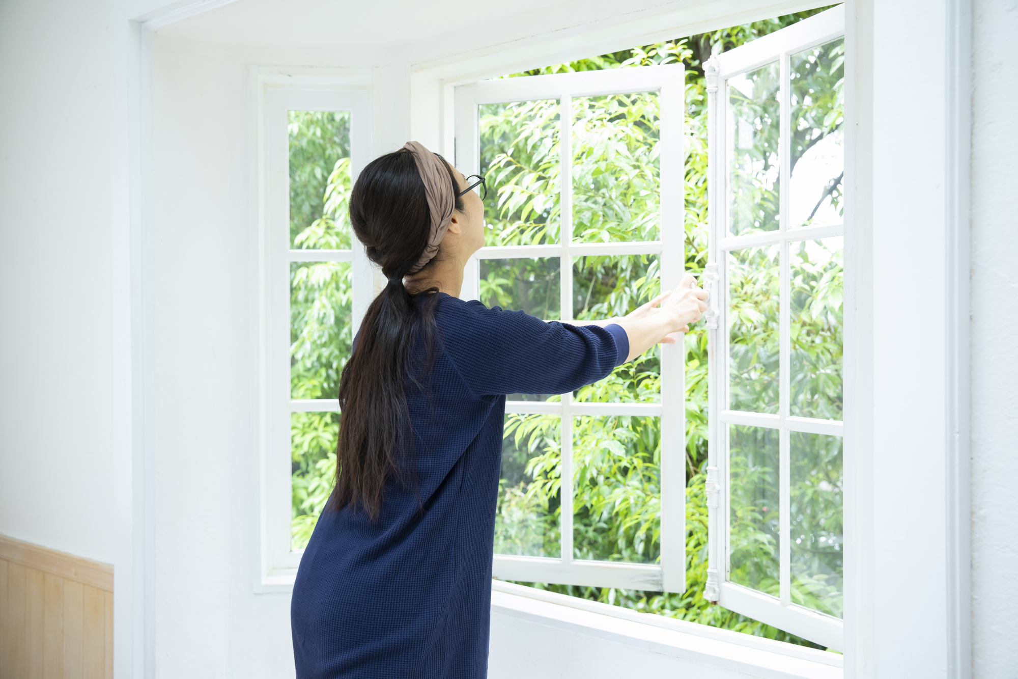 ノシメマダラメイガが発生したら 駆除方法と今後の対策方法を解説