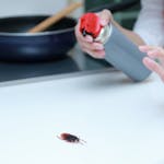 蚊取り線香はゴキブリにも効果がある 駆除や予防のポイントを解説 ミツモア 蚊取り線香はゴキブリにも効果がある 駆除や予防のポイントを解説 ミツモア