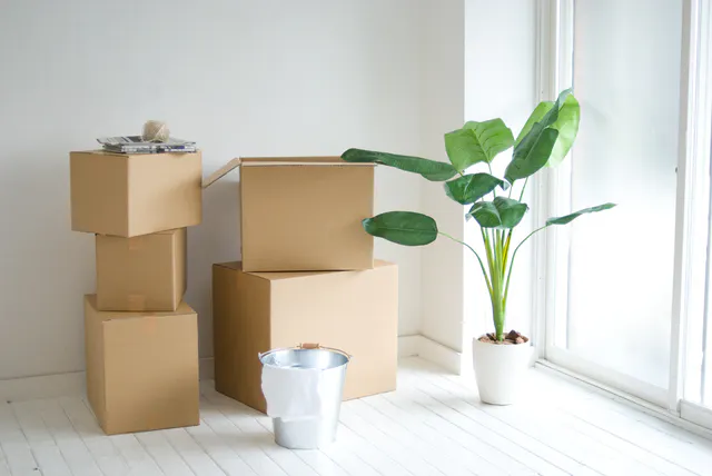 引っ越しの荷造りは何から始める 順番と梱包方法 テクニックを解説 ミツモア