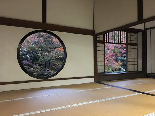 畳のダニ発生原因と対策方法 駆除したあとは掃除 乾燥で徹底予防 ミツモア 畳のダニ発生原因と対策方法 駆除したあとは掃除 乾燥で徹底予防 ミツモア
