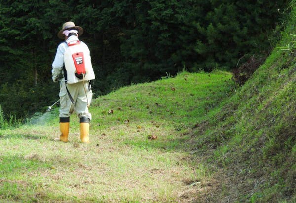 除草剤を撒く人