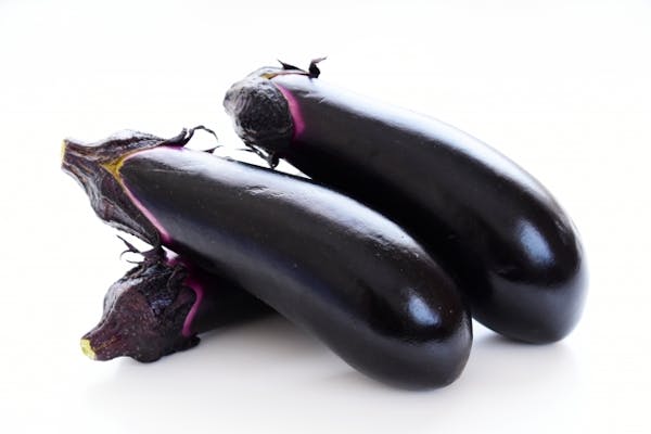 ナスの栽培方法 育て方 更新剪定と切り戻しで実をたくさん収穫 手入れのコツを徹底解説 ナスの栽培方法 育て方 更新剪定と切り戻しで実をたくさん収穫 手入れのコツを徹底解説