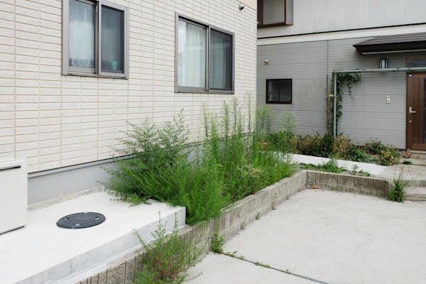 草むしりを楽にする便利道具を厳選して紹介 作業を効率化するコツ ミツモア 草むしりを楽にする便利道具を厳選して紹介 作業を効率化するコツ ミツモア