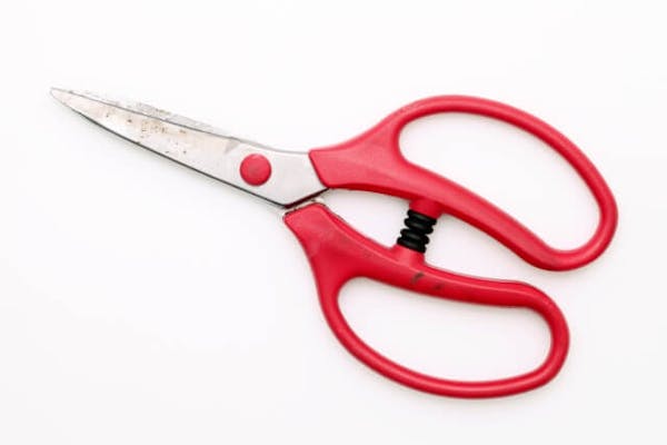 草刈り道具のおすすめ一覧 作業が楽に 簡単になる人気の便利グッズを紹介 ミツモア 草刈り道具のおすすめ一覧 作業が楽に 簡単になる人気の便利グッズを紹介 ミツモア