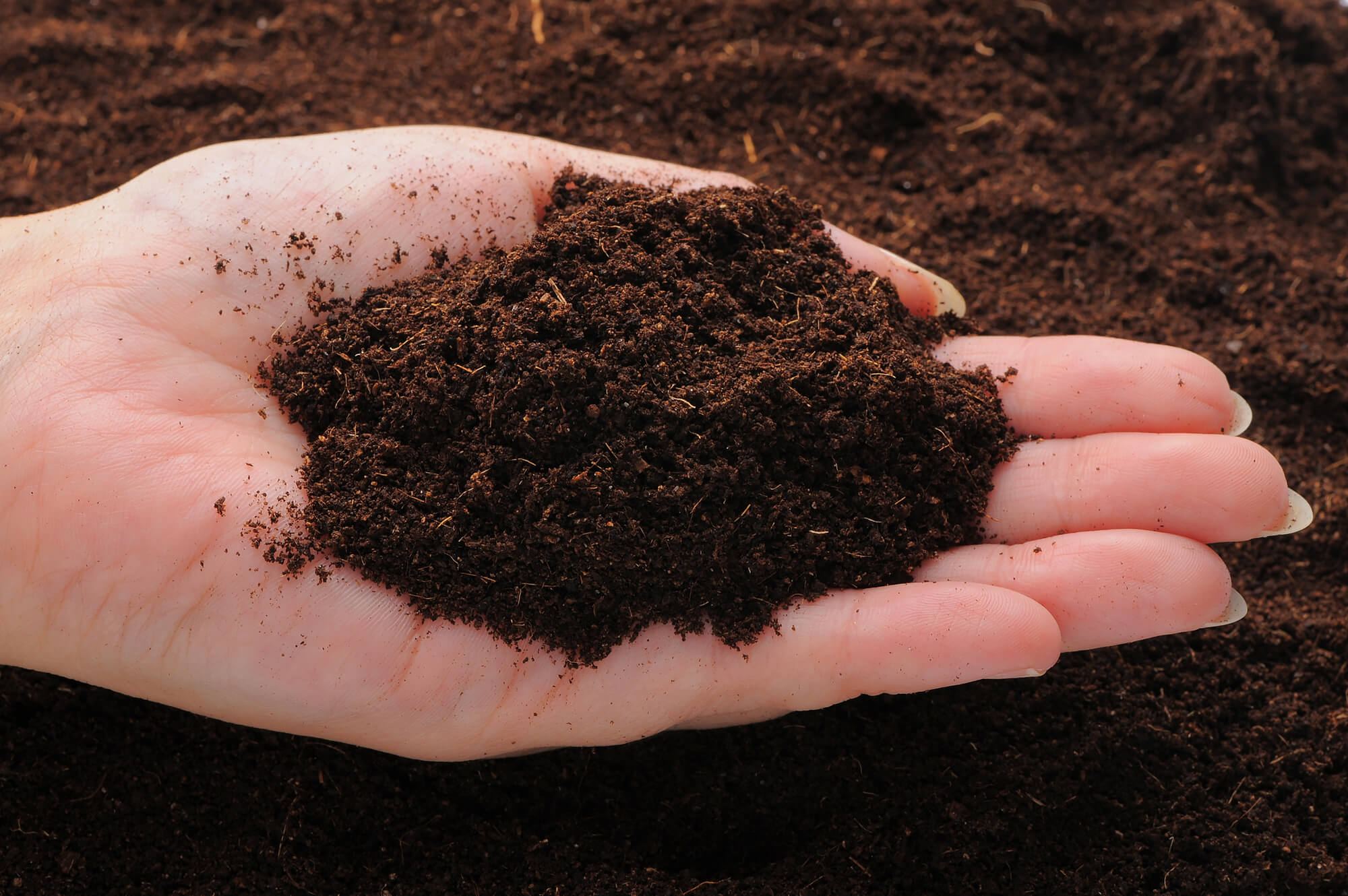 芝生の肥料のおすすめ商品9選 時期や選び方 撒き方のコツも紹介 ミツモア