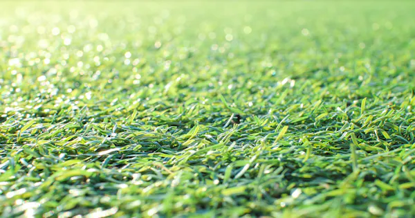 人工芝の正しい敷き方とは Diyの方法やつなぎ目のポイントを紹介 ミツモア 人工芝の正しい敷き方とは Diyの方法やつなぎ目のポイントを紹介 ミツモア